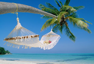 travel-business-hammock-beach.jpg