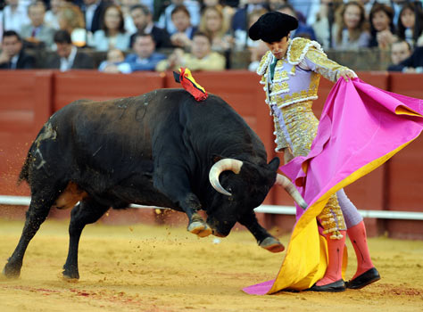 the-bullfighting.jpg